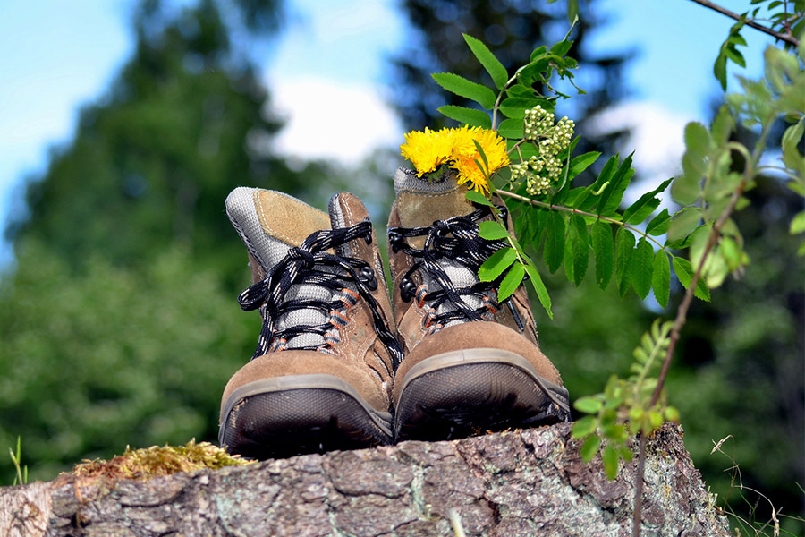 Wandern im Erzgebirge Wandern im Erzgebirge